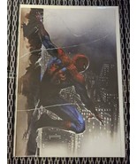 The Amazing Spider-Man #1 Dell&#39;Otto Virgin Variant LTD to 800 numbered w... - £27.24 GBP