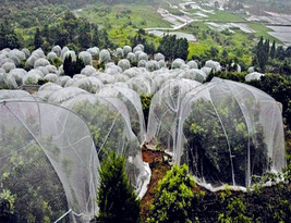 Mosquito Garden Crop Plant Netting Protect Bug Insect Barrier Bird Net - £4.10 GBP+