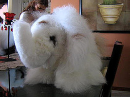 Elephant,handmade of Alpaca fur, soft toy - £52.77 GBP