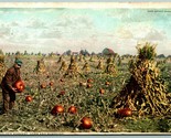 Golden Harvest Corn Pumpkins UNP Detroit Publishing Agriculture DB Postc... - $9.85