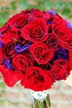 20 SEEDS RED AND PURPLE MIX LISIANTHUS FLOWER ANNUAL CUT FLOWER - $17.64