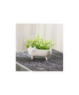 Ceramic Cat Planter (Set of 2) - 791126 - $56.56