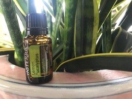 doTERRA Lemon Eucalyptus 15mL Essential Oil  NEW  &amp; SEALED Exp 04/27 - $15.00