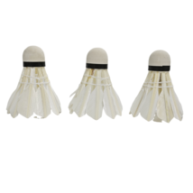 Gloamm badminton shuttlecocks 7 thumb200