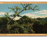 Leaning Locust Chimney Top Great Smokey Mountains UNP Linen Postcard V22 - $2.92