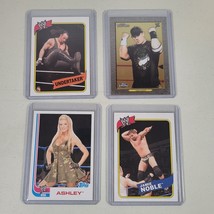 Wrestling Trading Card Lot Jamie Noble Ashley Massaro John Cena Undertaker - £8.98 GBP