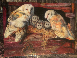 Barn Owls jigsaw puzzle 1000 Random Cut pieces  Cobble Hill Puzzles Fami... - £21.03 GBP