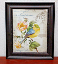 Framed Print Blue-naped Chlorophonia Fringillidae Bird Dark Decorative Frame - £9.10 GBP