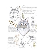 REDESIGN DECOR TRANSFERS® – GRAY WOLF – TOTAL SHEET SIZE 24″X35″, CUT IN... - $29.99