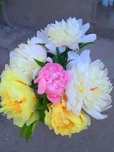 SL Peony Seeds - Premium Collection For Stunning Blooms, Mixed &#39;Sanmao&#39; Series - $2.48