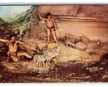 Cinghiale Caccia Exhibit Naturale Storia Museo Chicago Il Unp Cromo Post... - $3.03