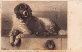 Member Of The Royal Humane SOCIETY-SIR EDWARDLANDSEER~1904 Bradford Pmk Postcard - £7.12 GBP