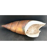 Round Tree Pottery Raku Shell, Large 17&quot;, Hangs, Signed (Nolan) &quot;Windhol... - $165.00