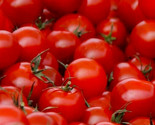 Small Red Cherry Tomato Seeds 100 Garden Vegetables Sauce Salad Fast Shi... - $8.99