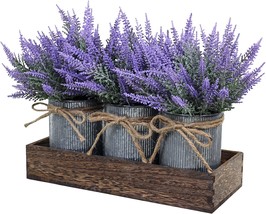 Set Of 3 Small Potted Plants Arrangement For Farmhouse Table Centerpiece - £31.42 GBP