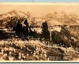 RPPC Tatoosh Range Mount Rainier National Park Washington WA 1917 DB Pos... - $9.85