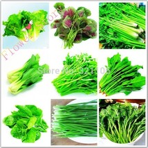 2700 Seeds Package of 9 Kinds Garden Suvival Vegetable seeds - $30.00