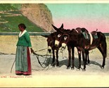 Vintage Postcard - Capri - Noleggiatrice d&#39;asini - Italy - Woman Donkeys... - $4.04