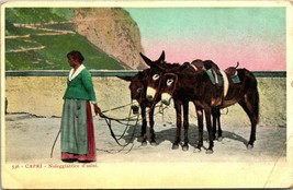 Vintage Postcard - Capri - Noleggiatrice d&#39;asini - Italy - Woman Donkeys Undiv - £3.15 GBP