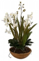 212 Main 60039 Moth Orchid Planter - Polyester-Plastic - £316.56 GBP