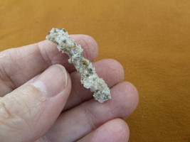 (r364-131) 1-1/8&quot; Fulgurite lightning strike beach sand glass Georgia fu... - £10.95 GBP