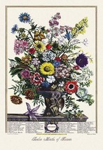Twelve Months of Flowers - Art Print - £17.57 GBP+