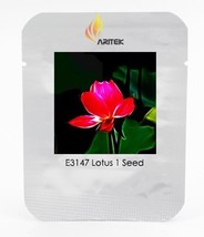 Heirloom Super Red Nelumbo Nucifera Lotus Flower Bonsai Seeds, Professional Pack - £2.44 GBP