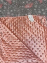 Nicole Miller Baby Blanket Cat Gray Coral Pink Peach Soft Minky Textured 30x40&quot; - £12.63 GBP