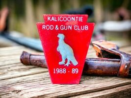 KALICOONTIE Rod &amp; Gun Club Plastic Pheasant  Pin Button Columbia County ... - $9.87
