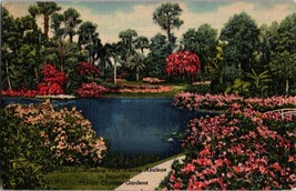 Winding Path Among Azaleas Cypress Gardens Florida  Vintage Postcard  (D7) - £4.66 GBP