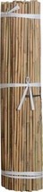 Bond Tools B07GN408 Natural Bamboo Stakes 48 in. - £235.82 GBP