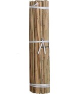 Bond Tools B07GN408 Natural Bamboo Stakes 48 in. - £231.07 GBP
