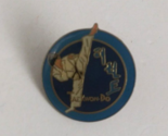 Vintage Tae Kwon-Do Enamel Lapel Hat Pin - $8.25