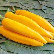 Organic Vegetables Yellow Peppers, 20 seeds - £8.09 GBP