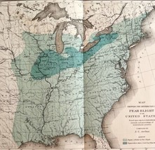 Map Of Pear Blight United States Victorian 1887 Lithograph Agriculture DWT9A - £55.87 GBP