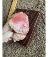 Vintage Anatomical Human Teaching Model Heart 3-D - $88.10