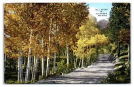 Fall Scene Colorado Rockies Unused Postcard - £41.43 GBP