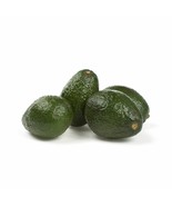 2 HASS AVOCADO SEED - Organic - Non Gmo Delicious Creamy FAST FREE SHIPPING - £10.38 GBP