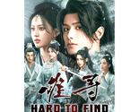 Hard to Find (2024) Chinese Drama - $64.00
