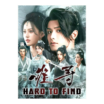 Hard to Find (2024) Chinese Drama - £51.15 GBP