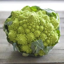 Seeds USA Seller Romanesco Broccoli 50 Seeds Brassica Oleracea Var. Italica - £6.77 GBP