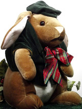 (Y24C13B8) Toys R Us Plush Peter Rabbit Stuffed Animal  - $19.99