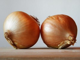 250 Onion Texas Early Grano Garden Vegetable Seeds - £14.55 GBP