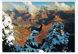Arizona Postcard Grand Canyon First Winter Snowfall - £2.36 GBP