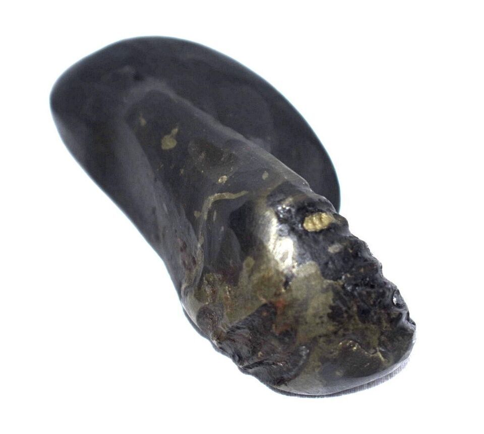Sacred Shesha Ananta Shaligram - Gandaki River Nepal Item image 5
