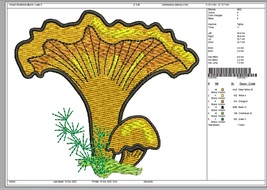 Item image 5