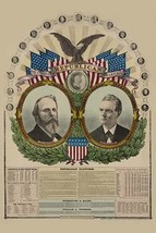 National Republican chart 1876 20 x 30 Poster - £20.46 GBP