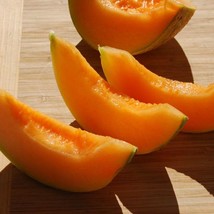 Charentais Melon French Miniature Fruit 10 Seeds Super Sweet Lovely Frag... - $88.74 MXN