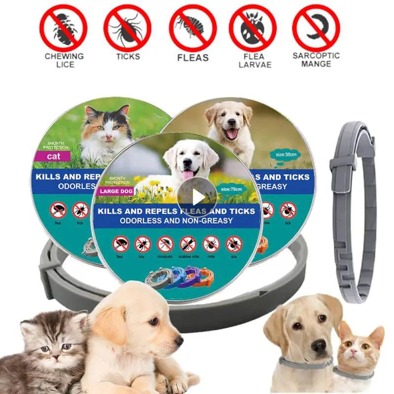Dog Anti Flea And Ticks Cats Collar Pet 8Month Protection Retractable Pet - £6.22 GBP+
