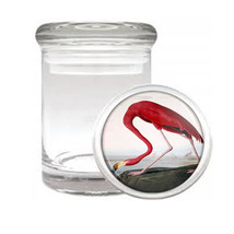 An item in the Collectibles category: John J. Audubon American Flamingo Medical Glass Jar 330